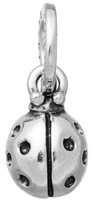 Charm Giovanni Raspini Donna Charms in Argento 10926 - 10926